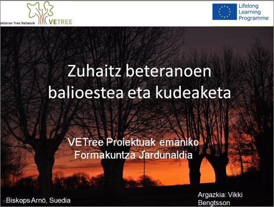 Screenshot basic workshop EUS