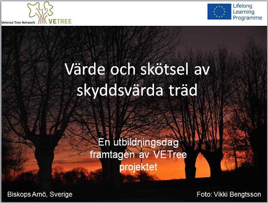 Screenshot basic workshop SE